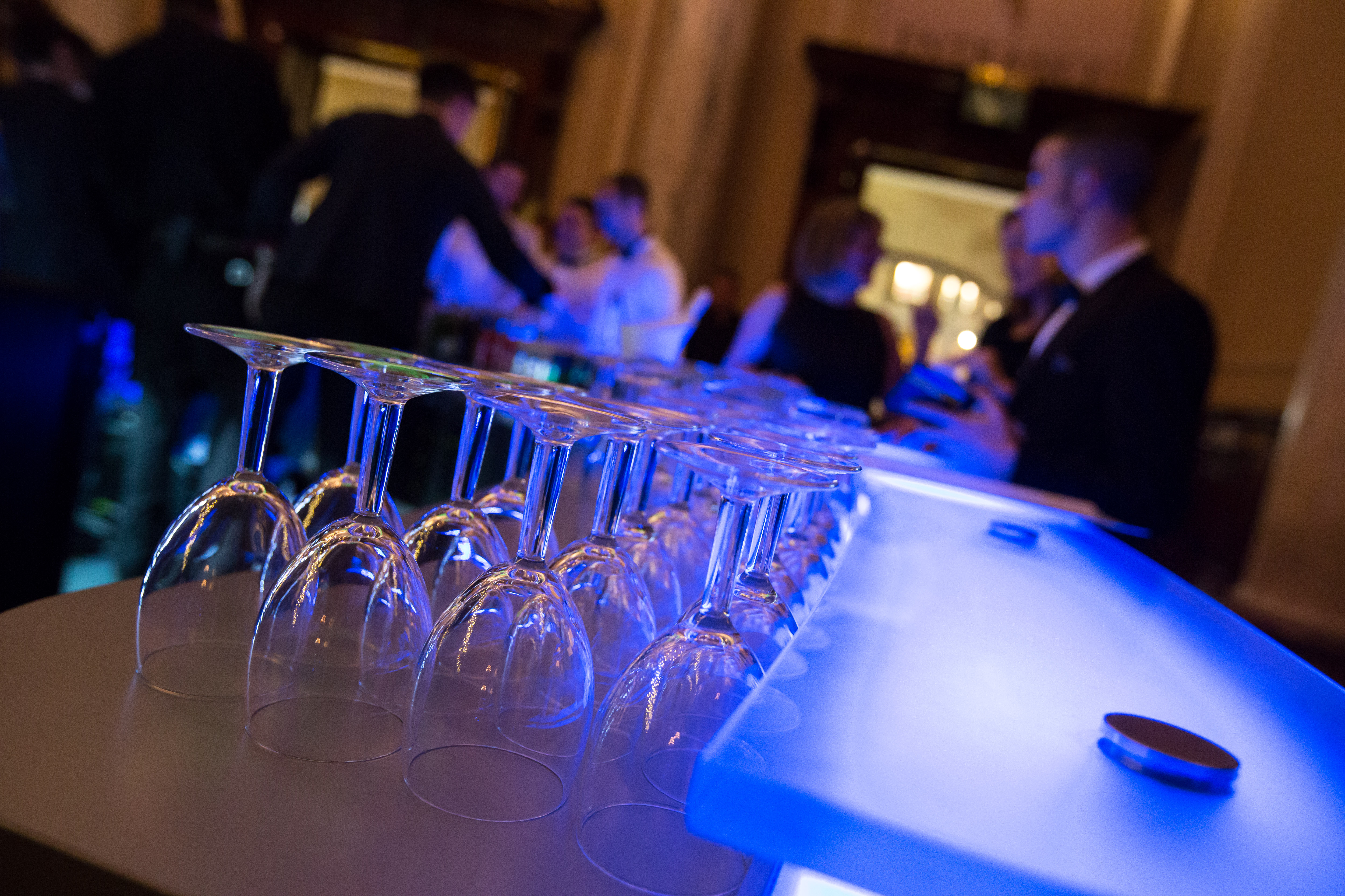 Bar in the Reception Hall, Paolo Ferla