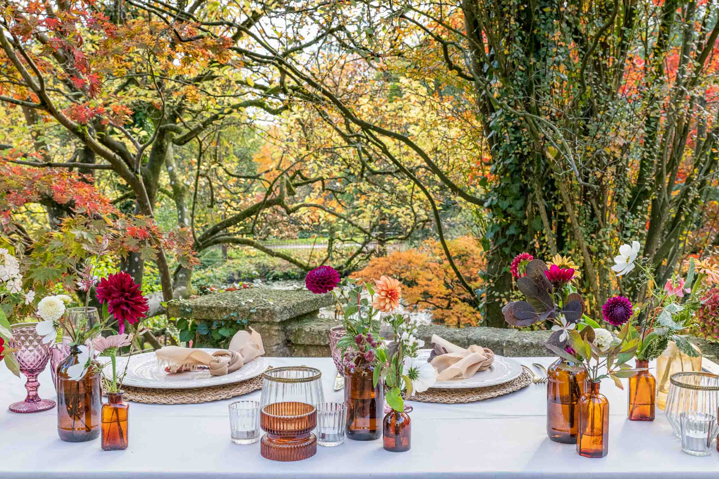 Botanical Gardens in the Autumn